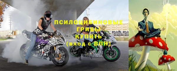 бошки Зерноград