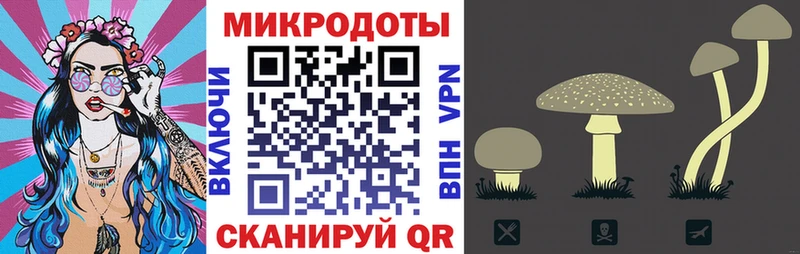 дарнет шоп Дзержинск Псилоцибиновые грибы Psilocybine cubensis